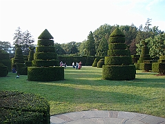 472 Longwood Gardens [2008 August 23]